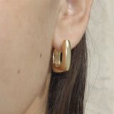 "Eclat" earrings